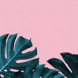 Meet your Posher, Kathryn